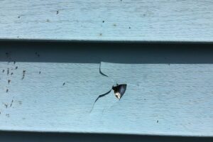 What You Should Do When Your Siding in Ann Arbor Michigan Needs Repairs