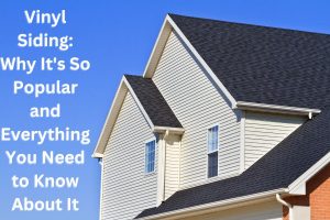 Vinyl Siding: Why It's So Popular and Everything You Need to Know About It